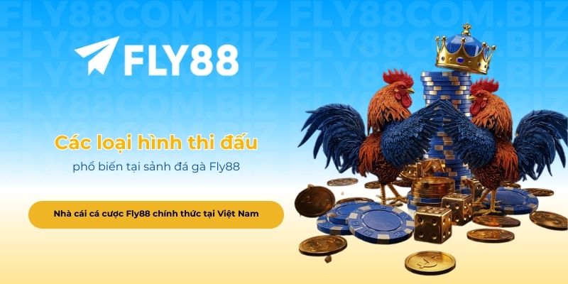 Các loại hình thi đấu phổ biến tại sảnh đá gà Fly88