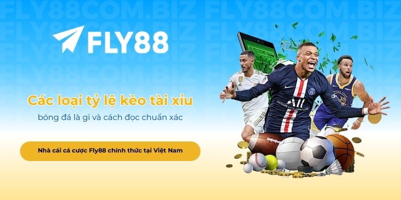 Các loại tỷ lệ kèo tài xỉu bóng đá là gì và cách đọc chuẩn xác