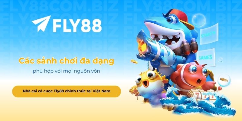 Các sảnh chơi đa dạng phù hợp với mọi nguồn vốn