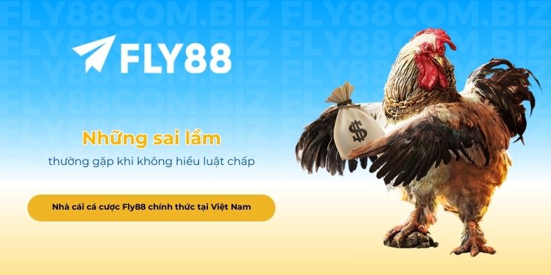 Những sai lầm thường gặp khi không hiểu luật chấp trong đá gà